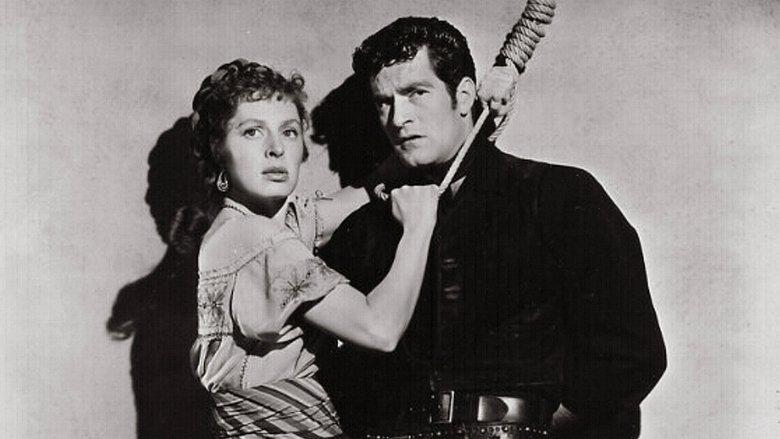 The Raiders image