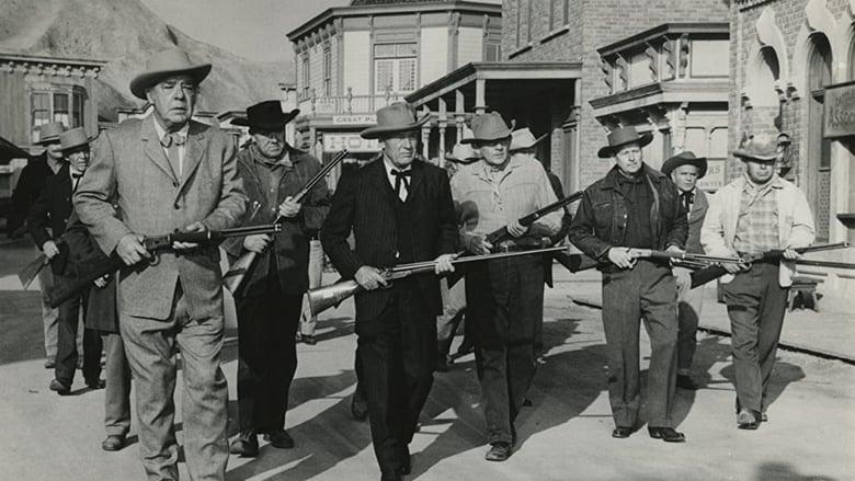 Town Tamer image