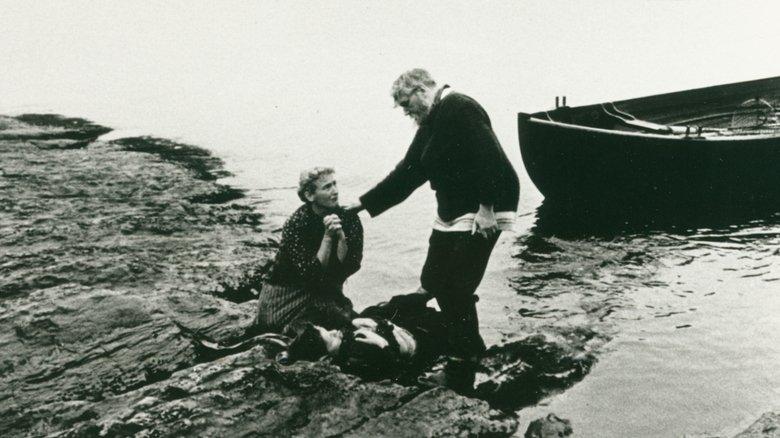 The Dangers in a Fisherman's Life image