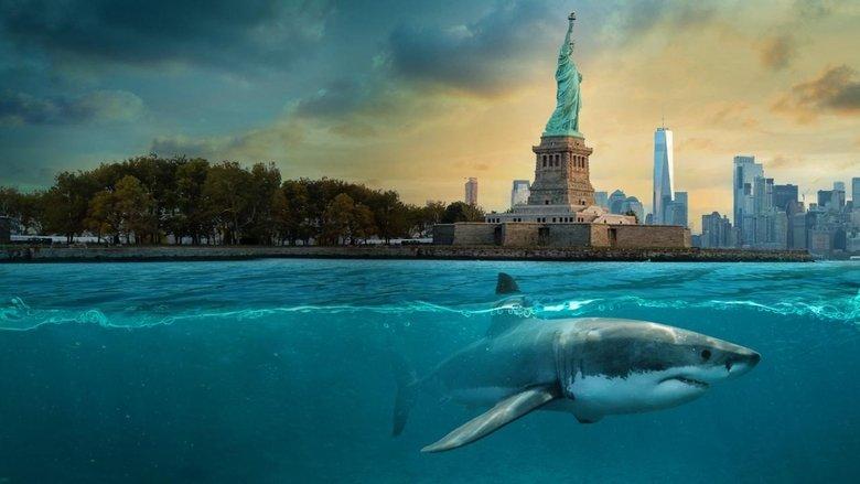 Baby Sharks in the City image