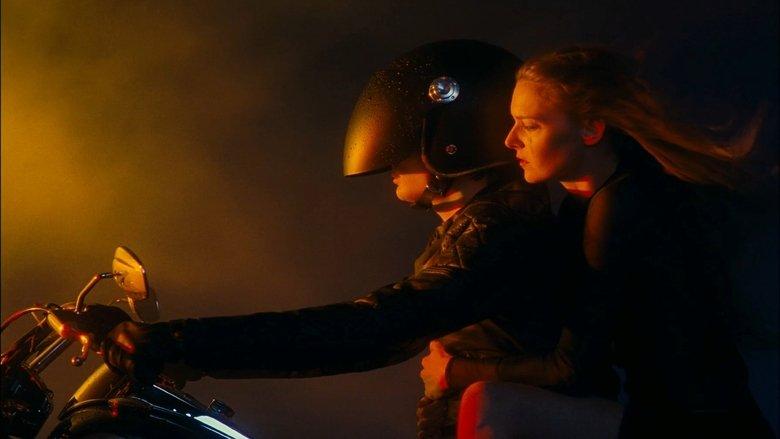 You and the Night image