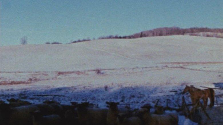 Horizons image