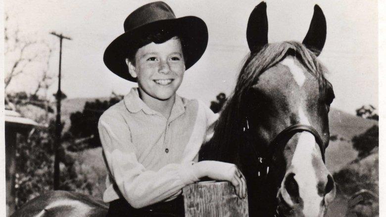 My Friend Flicka image