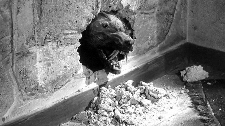 The Killer Shrews image