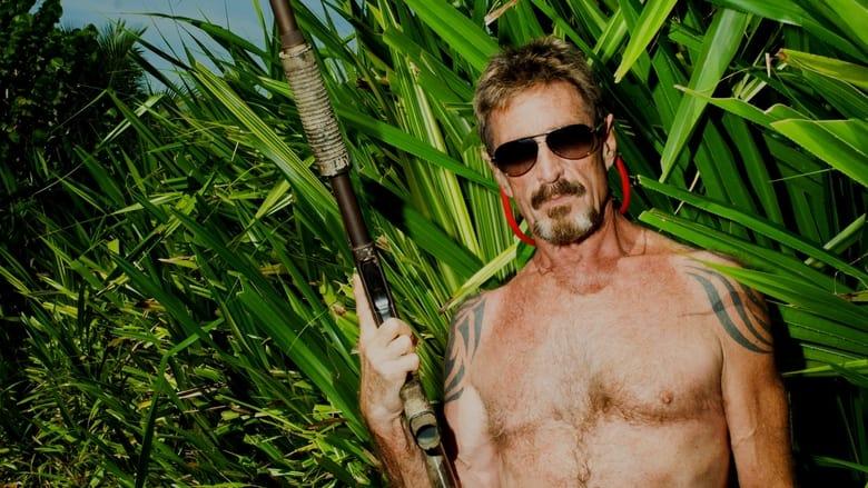 Gringo: The Dangerous Life of John McAfee image