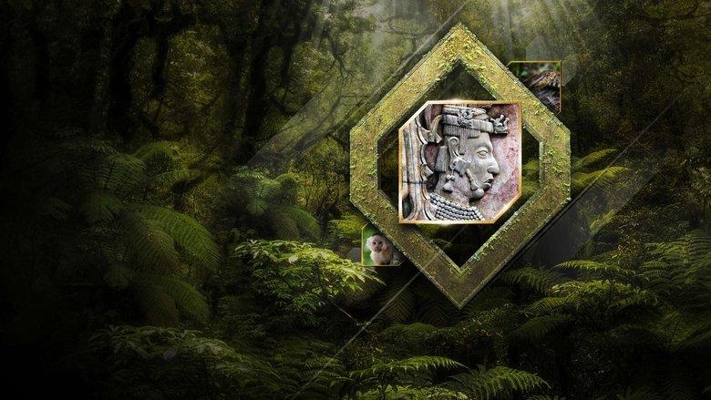 The Lost City of the Monkey God image