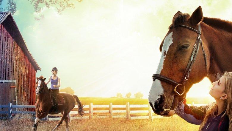 The Horse Dancer image