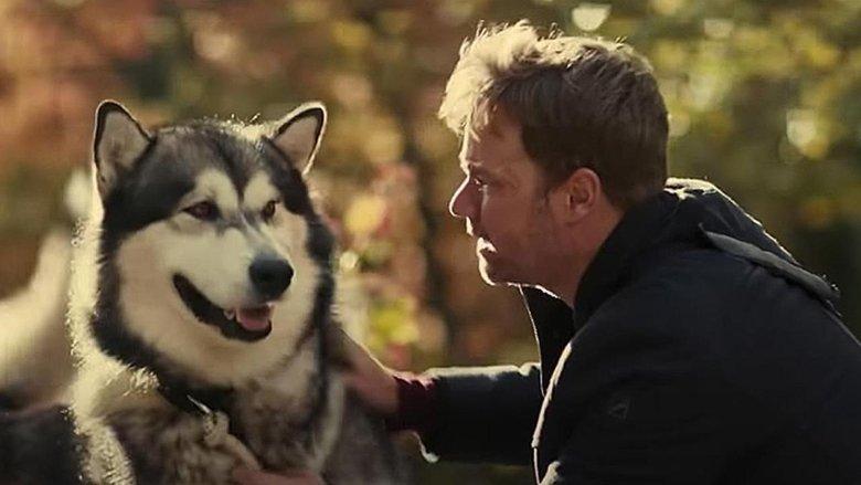 Hero Dog: The Journey Home image
