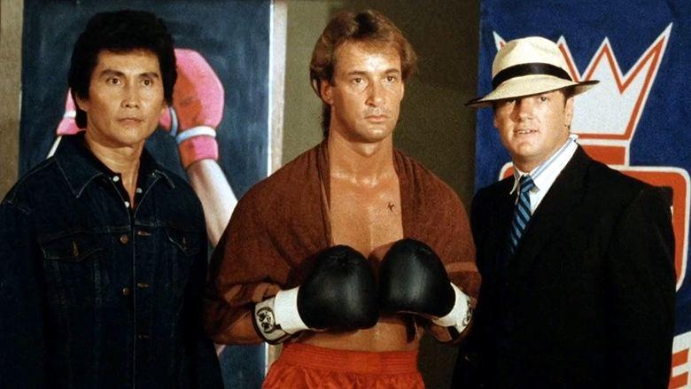 The Fighter image