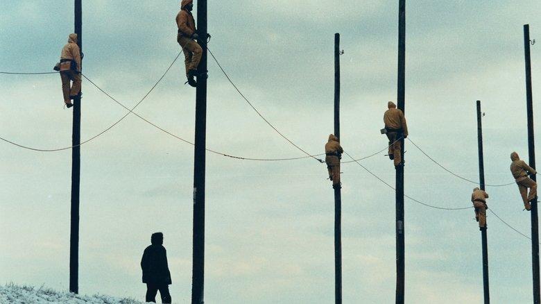 The Suspended Step of the Stork image