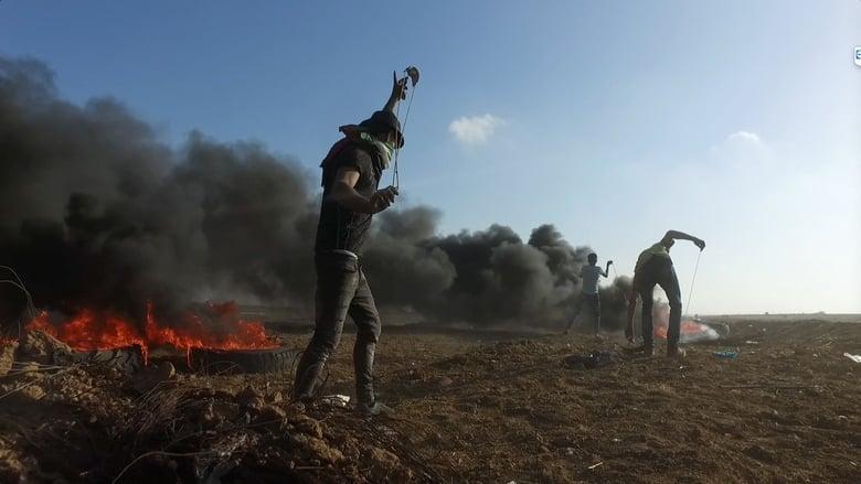 Gaza Fights for Freedom image