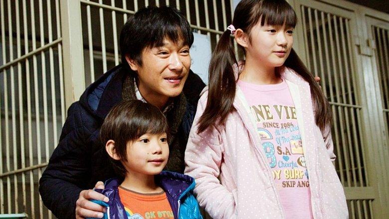 7 Days of Himawari & Her Puppies image