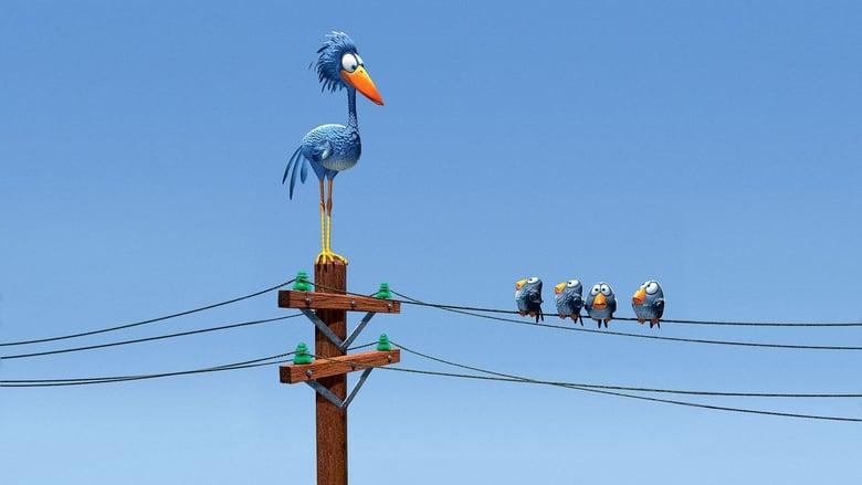 For the Birds image