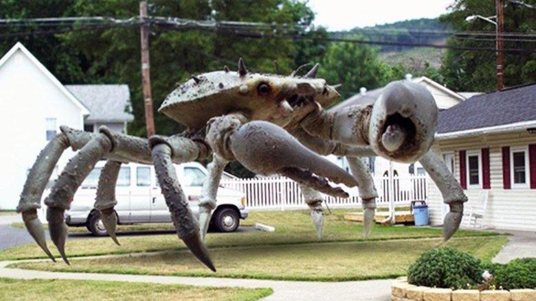Queen Crab image