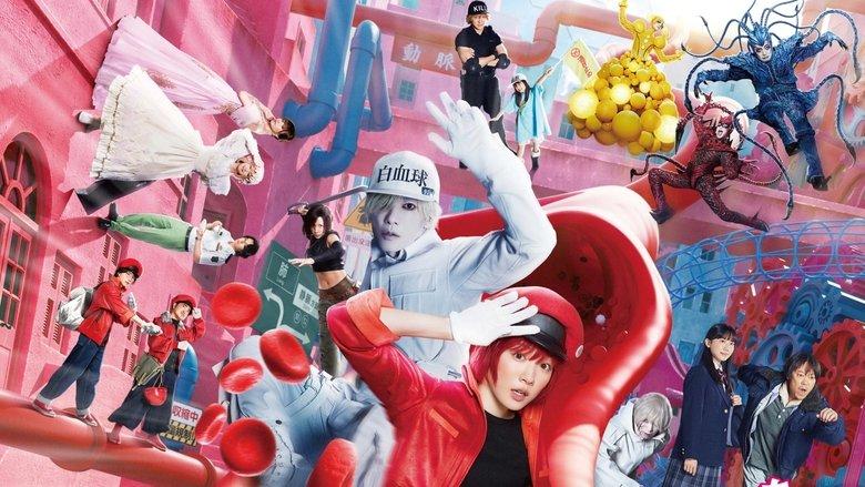 Cells at Work! image
