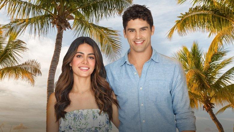 Love in the Sun image