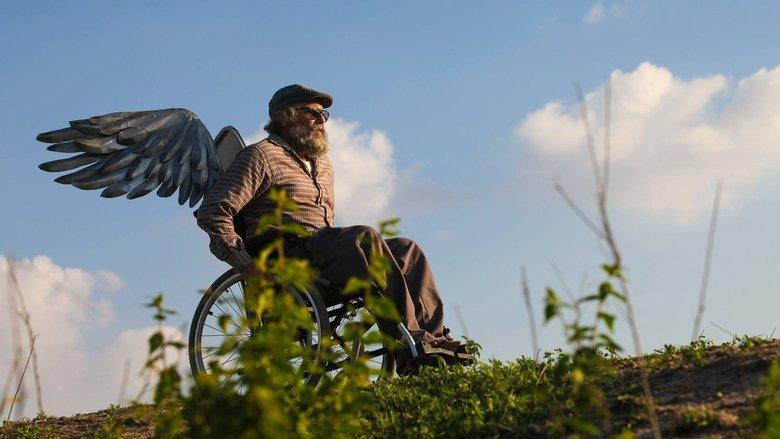 A Bicicleta do Vovô image