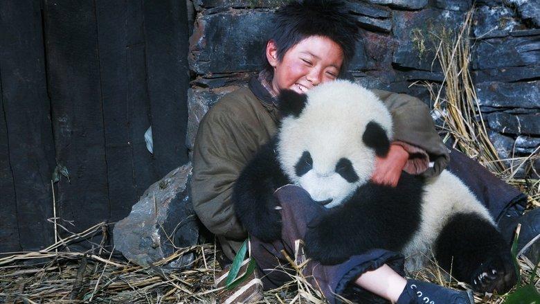 Trail of the Panda image
