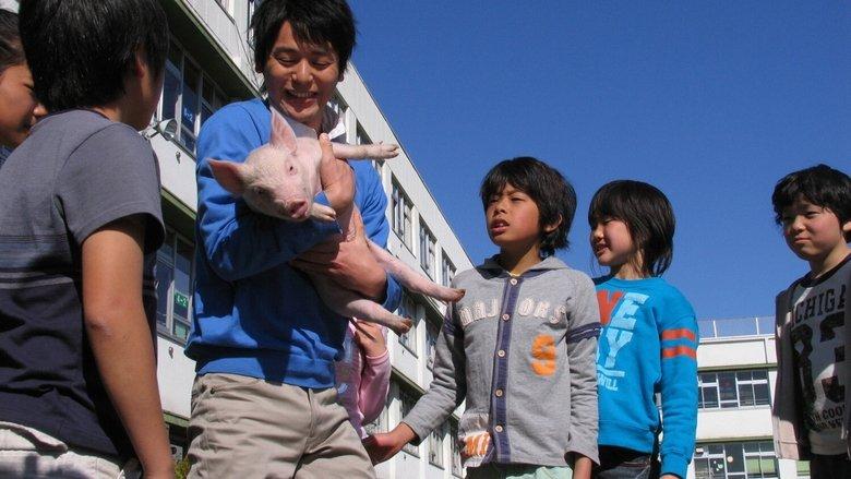 School Days with a Pig image