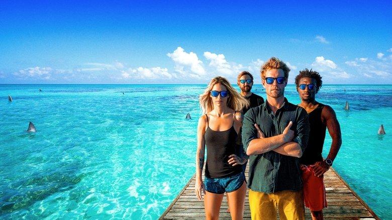 Shark Academy image