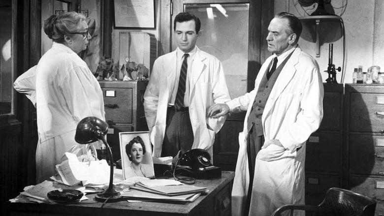 The Young Doctors image