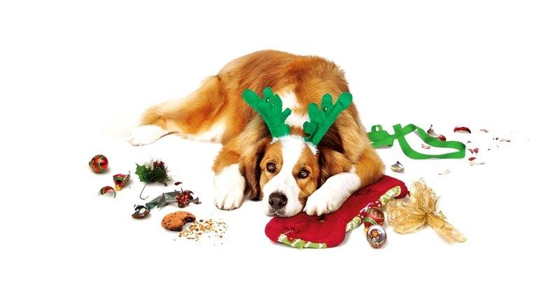 Love the Coopers image