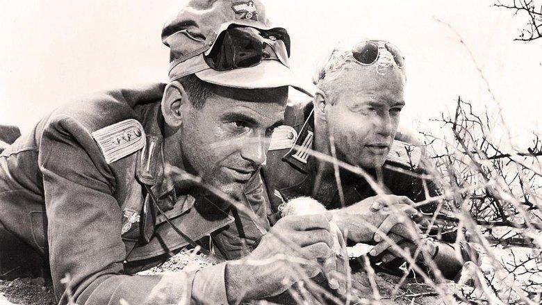 The Young Lions image