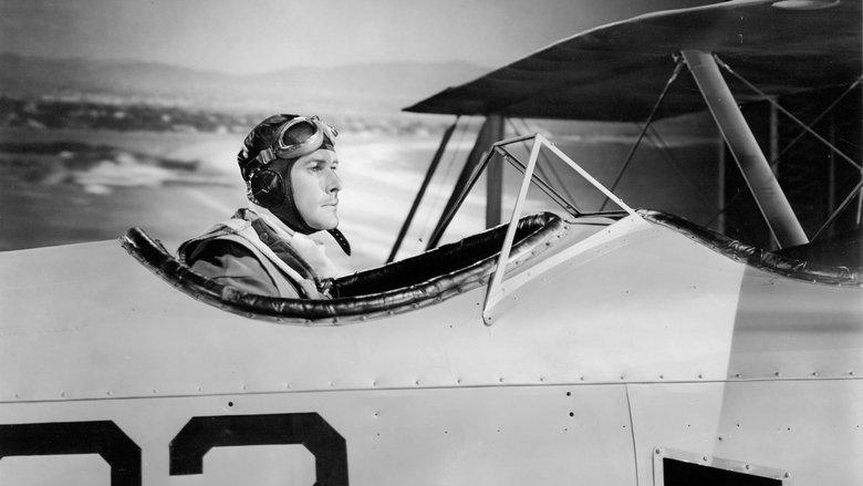 Dive Bomber image