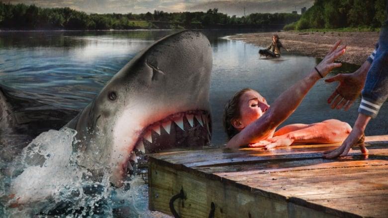 Ozark Sharks image