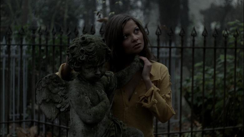 The Iron Rose image