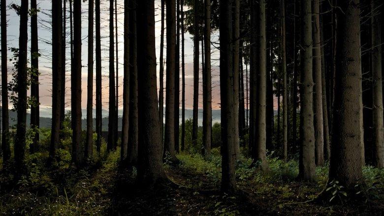 L'homme et la forêt image
