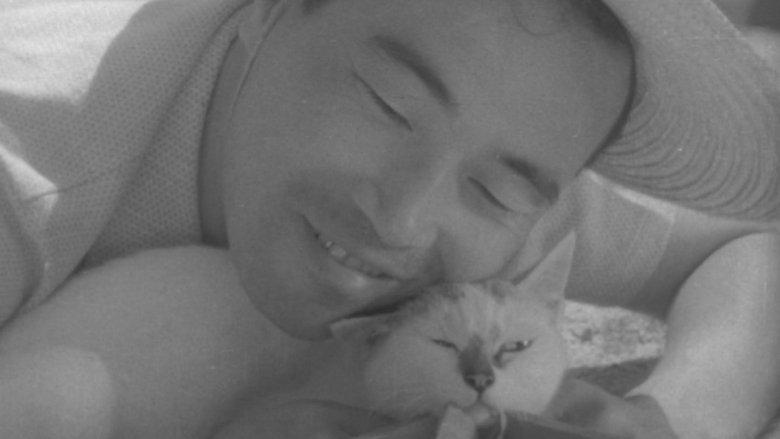 Shozo, a Cat and Two Women image