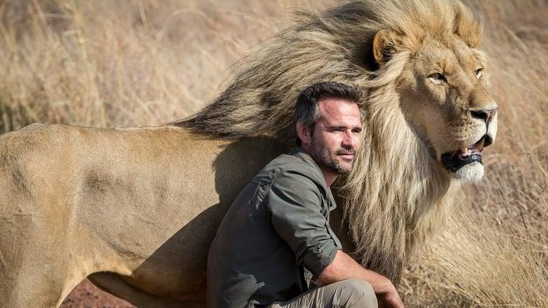 The Lion Ranger image