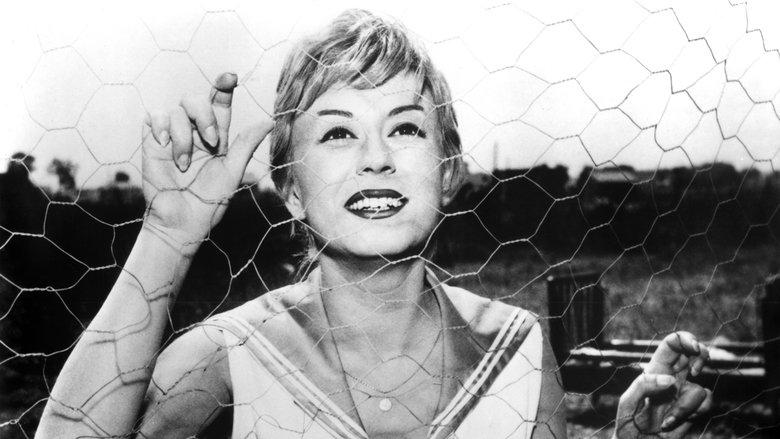 Nights of Cabiria image