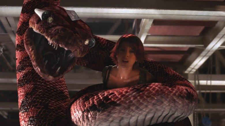 Boa vs. Python image