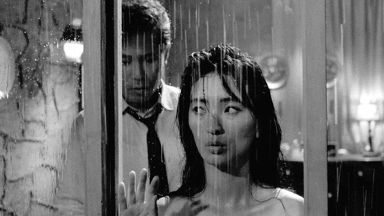 The Housemaid image