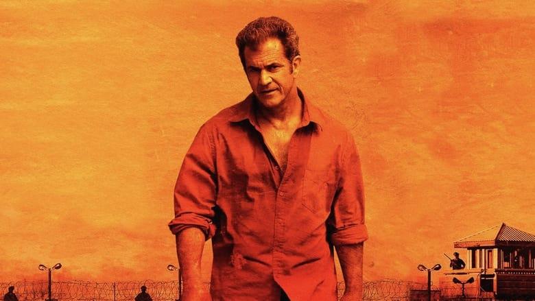 Get the Gringo image