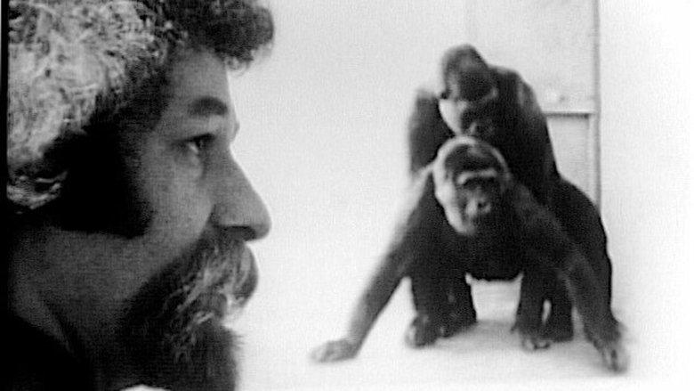 Primate image
