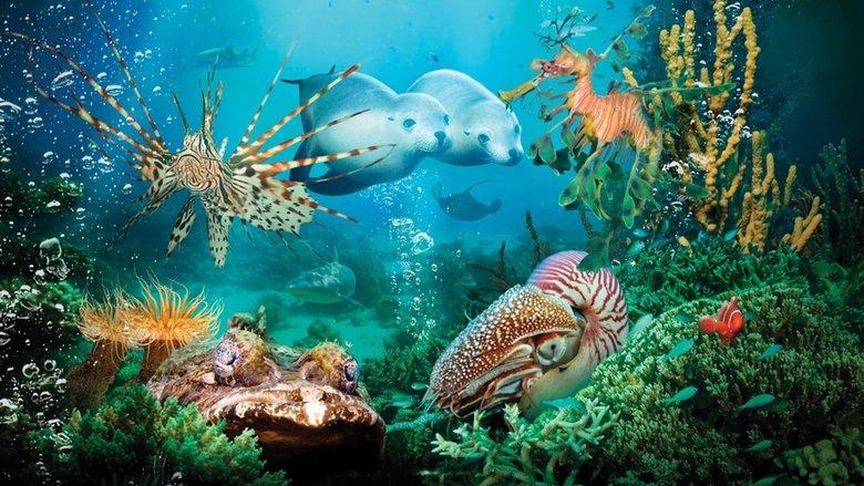 Under the Sea 3D image