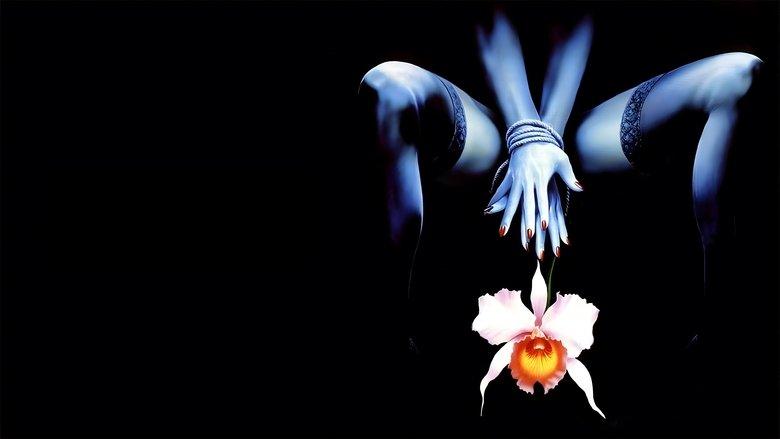 Wild Orchid II: Two Shades of Blue image