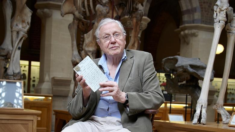 David Attenborough's Natural Curiosities image