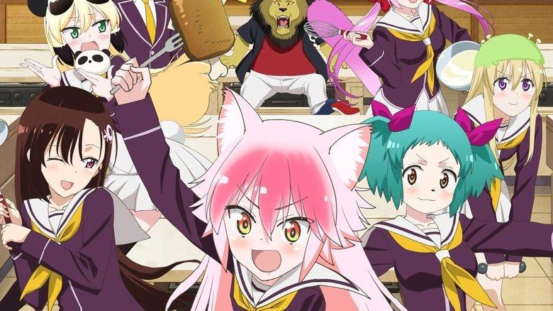 Seton Academy: Join the Pack! image