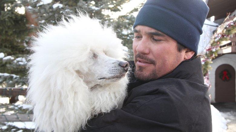 The Dog Who Saved Christmas Vacation image