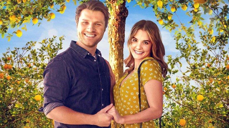 Love Under the Lemon Tree image