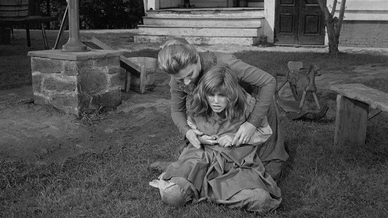 The Miracle Worker image