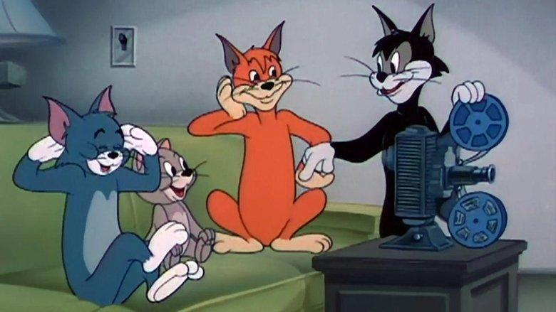 Smarty Cat image