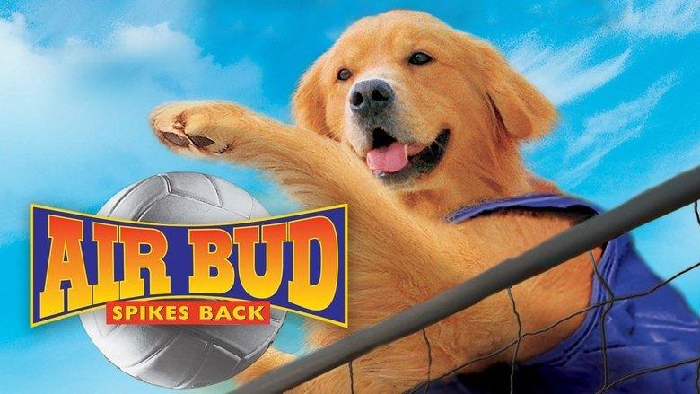 Air Bud: Spikes Back image