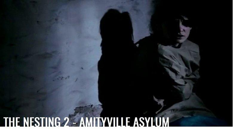 The Amityville Asylum image