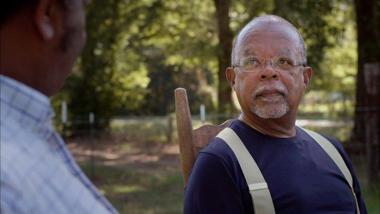 Black America Since MLK: And Still I Rise image