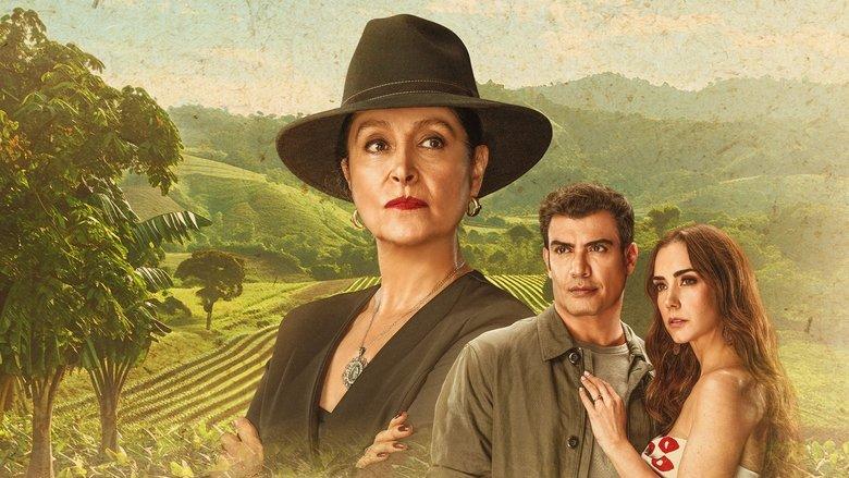 Amor amargo image
